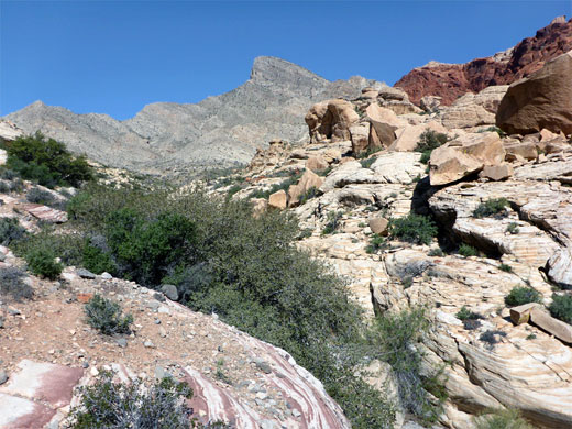 Turtlehead Peak, high above Gateway Canyon