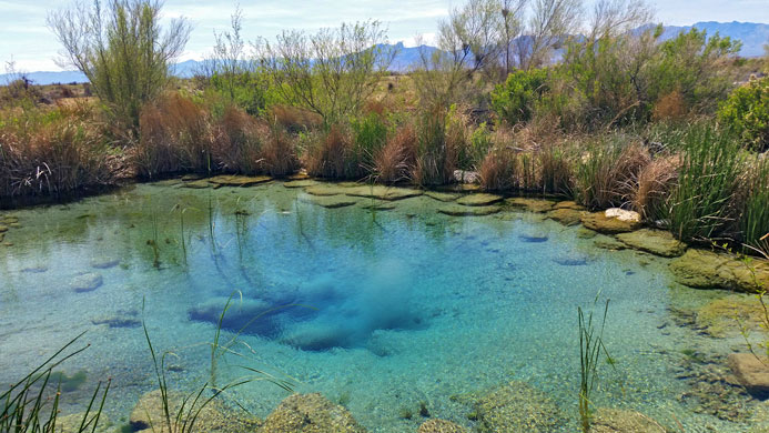 Shallow water in Longstreet Spring