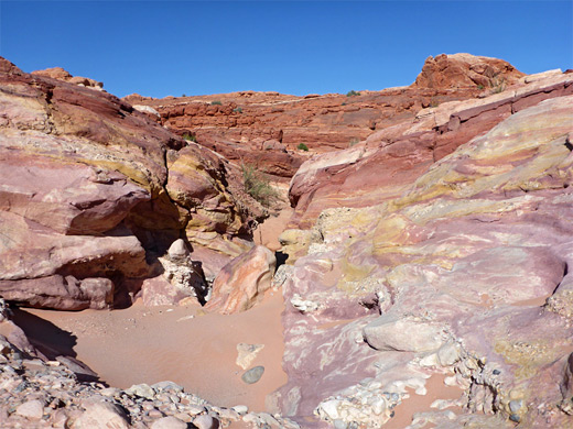 Multicolored sandstone