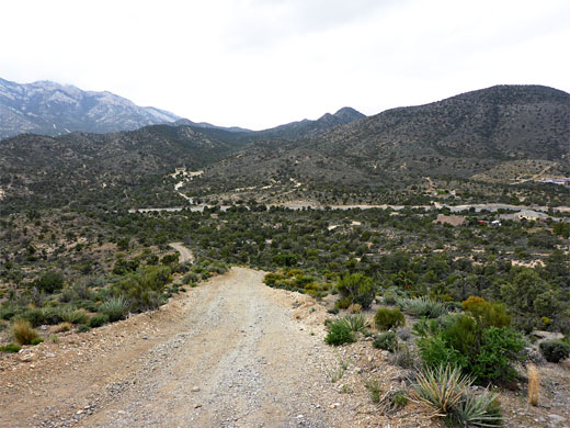 Near the start of the Mountain Spring Peak Trail