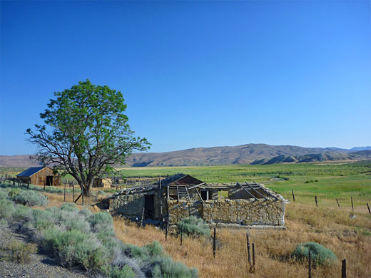 Abandoned buildings along Hwy 305