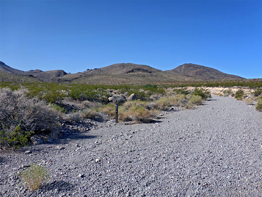 Stony wash across the desert