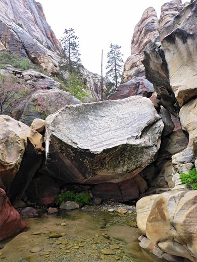 Boulder and pool