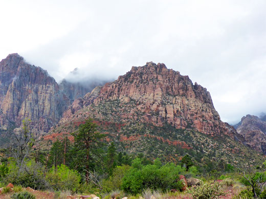 Cliffs on the south side of Pine Creek Canyon