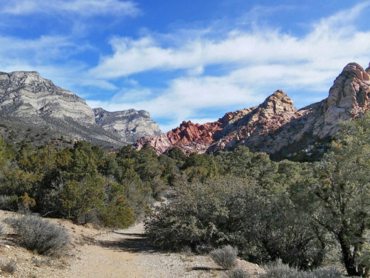 White Rock Hills