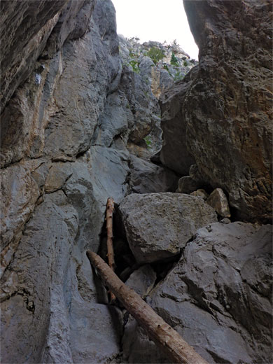 Dryfalls, boulders and logs in the narrows
