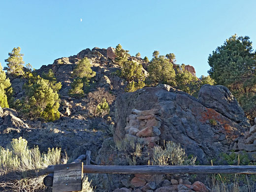 Bushes and rocks