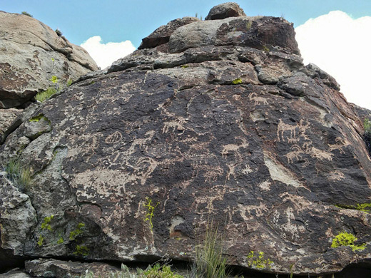 Shooting Gallery petroglyphs