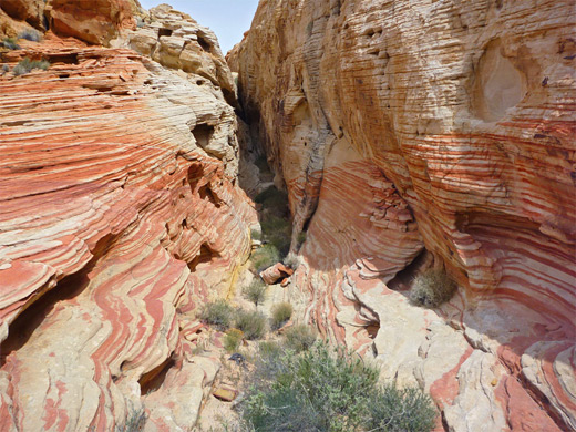 Narrow ravine through stripy sandstone