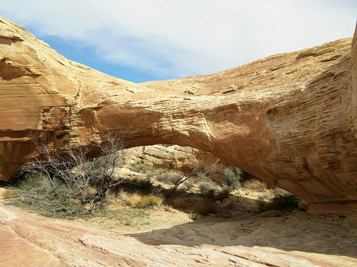 Top of the World Arch, Valley of Fire