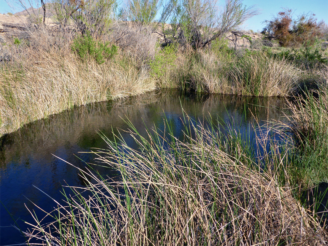 Kings Pool