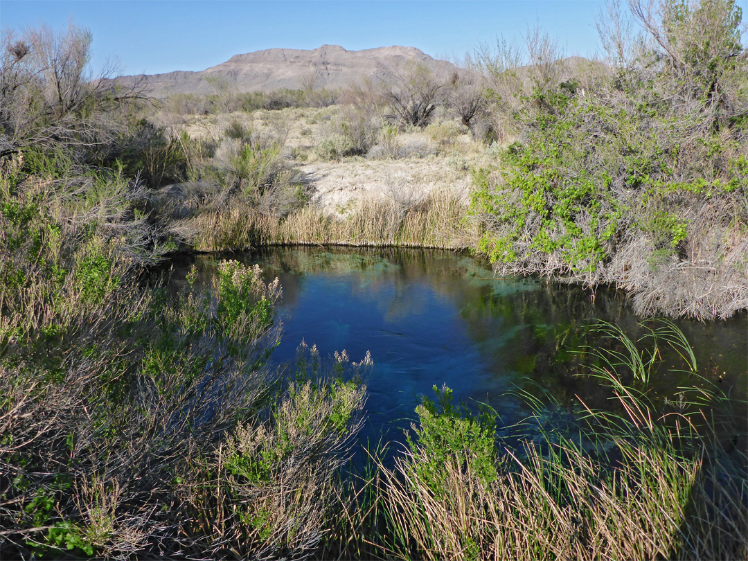 Crystal Spring