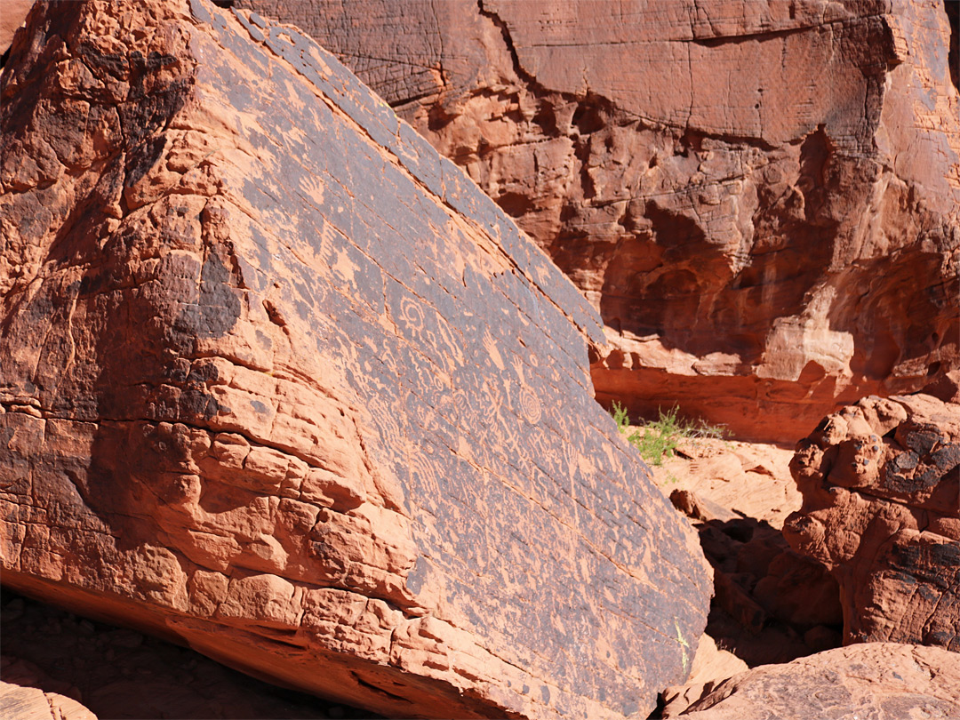Petroglyphs on a boulder