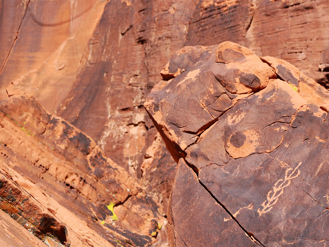 Isolated petroglyph
