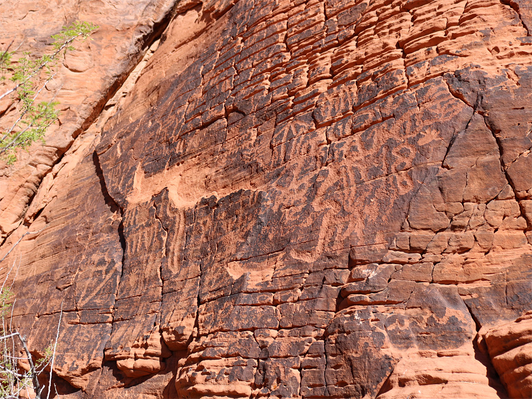 Deeply grooved cliff