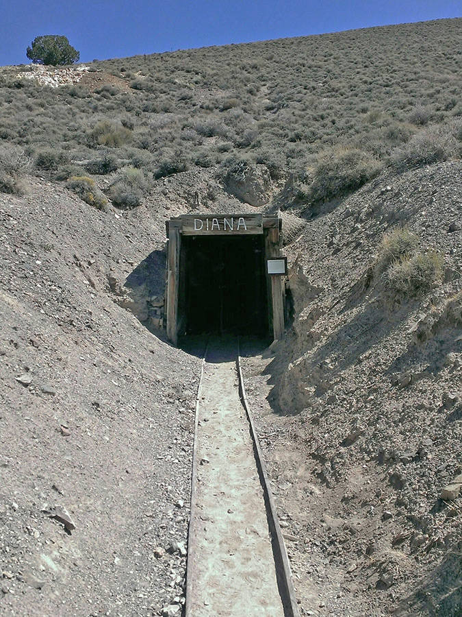 Diana mine