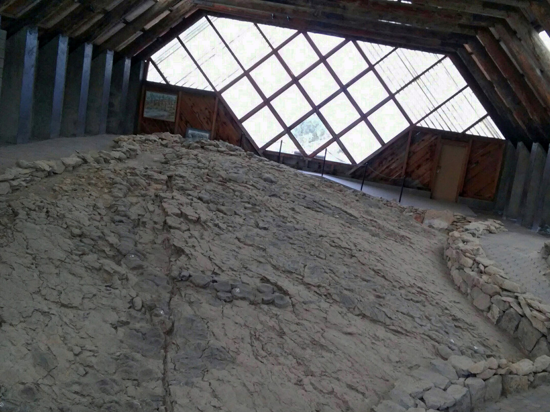 The fossil site
