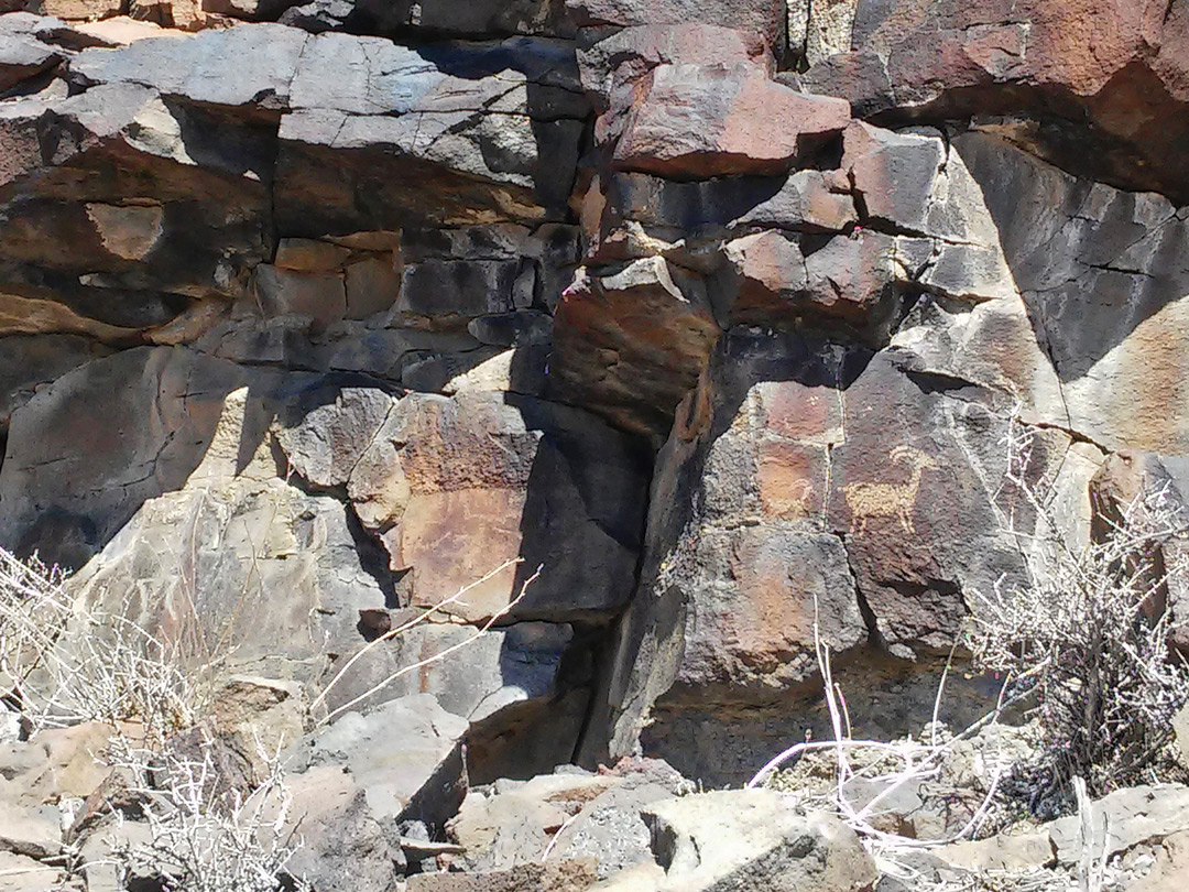 Bighorn sheep petroglyph