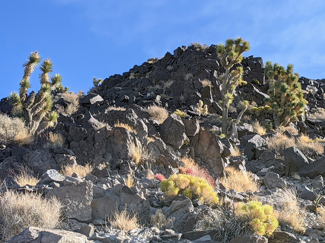 Jagged rocks