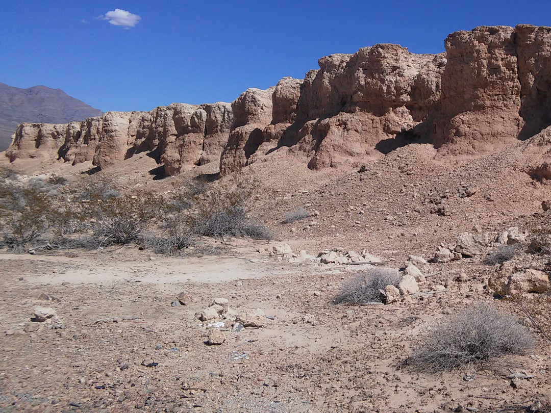 Low brown cliffs