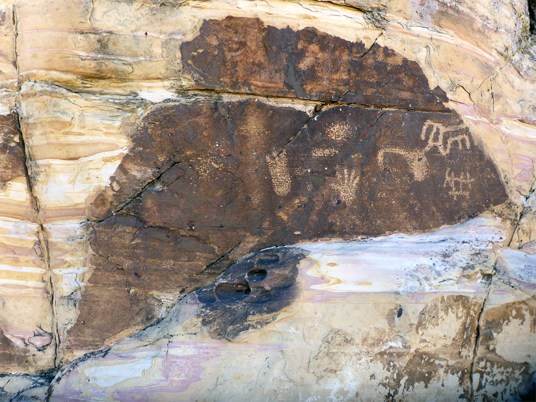 Petroglyph panel