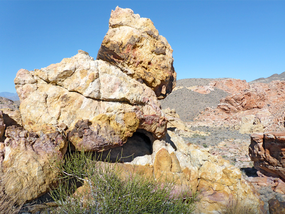 Animal-like formation