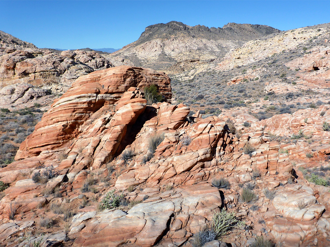 Rocks and sagebrush