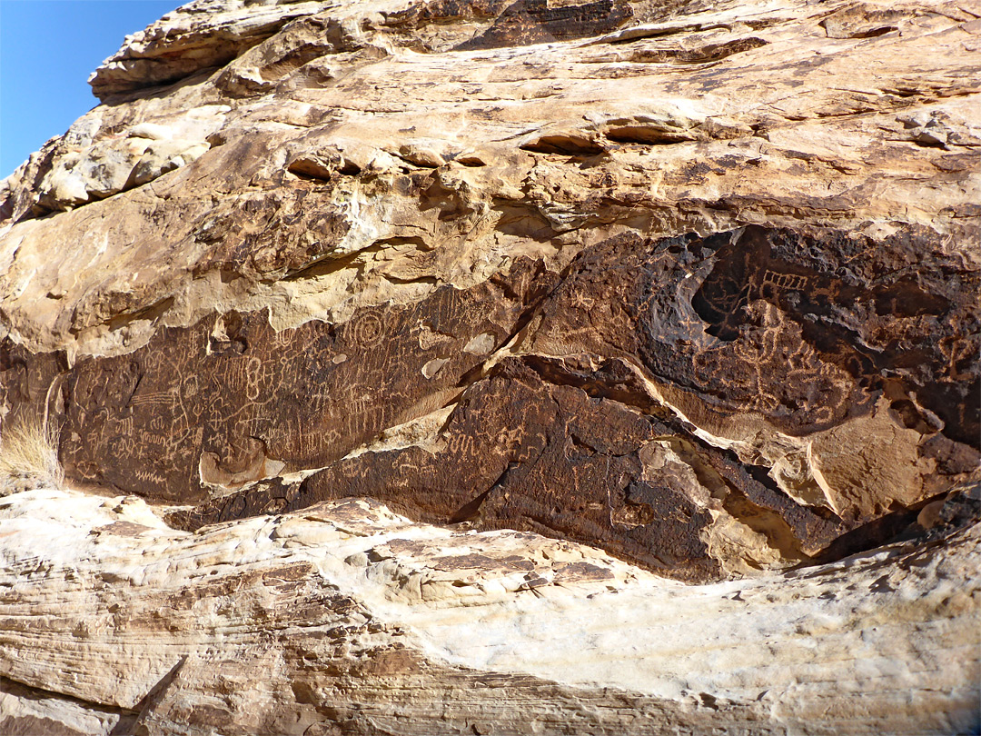 Many petroglyphs