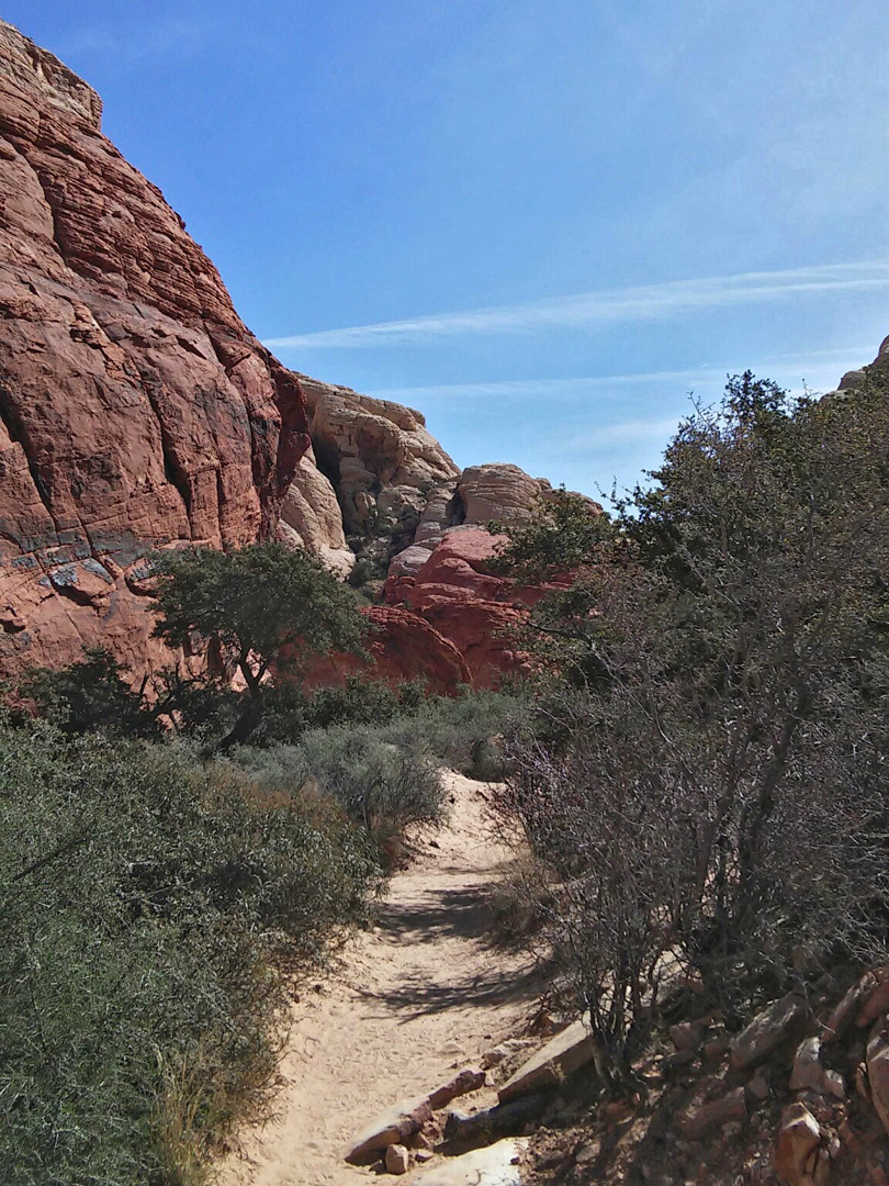 Sandy path