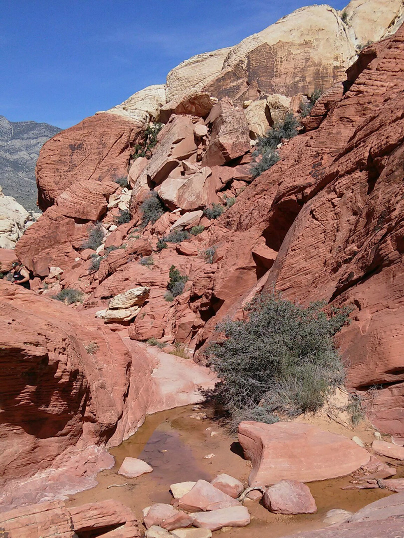 Red rock pool