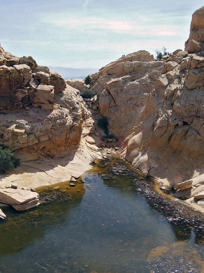 The largest pool