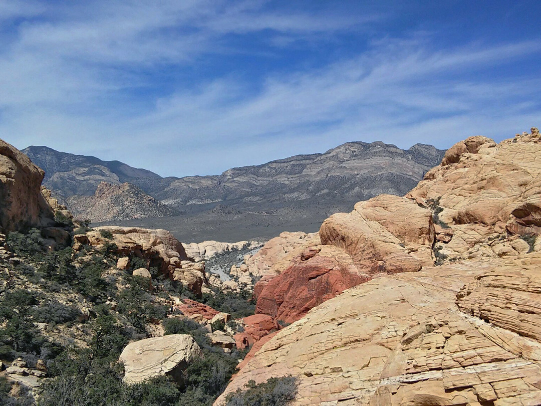 Spring Mountains