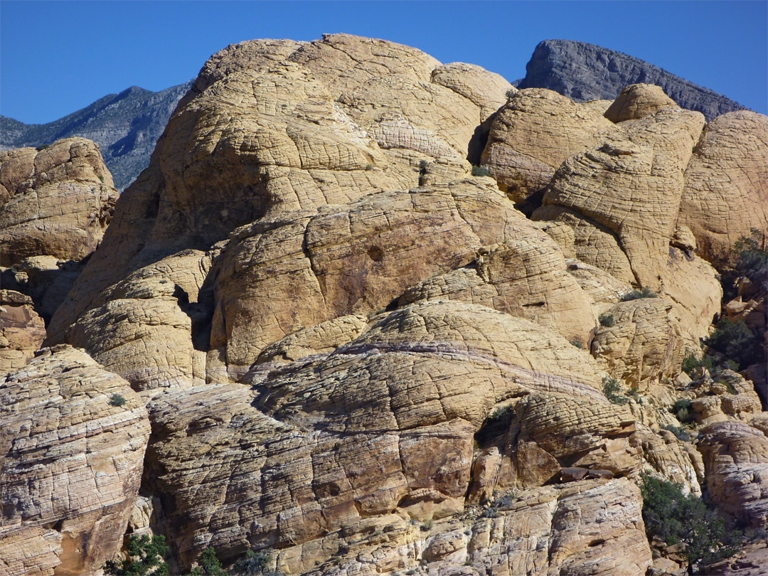 Weathered rocks