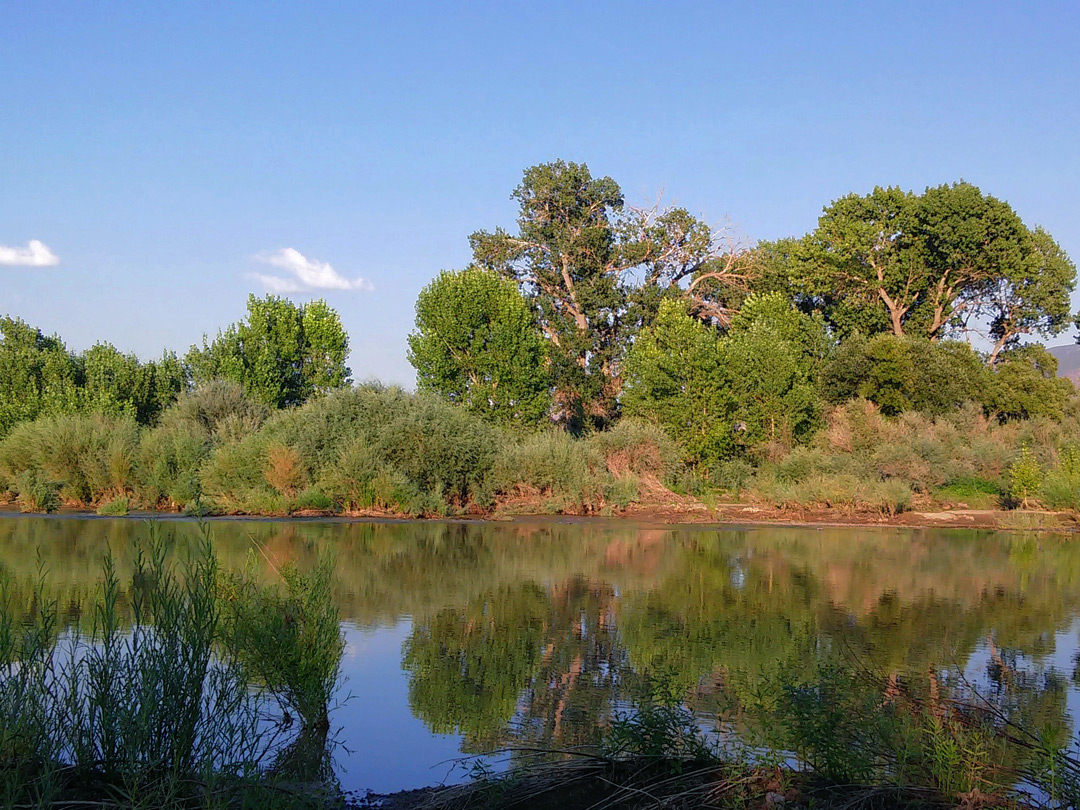 Reflections on the Carson River