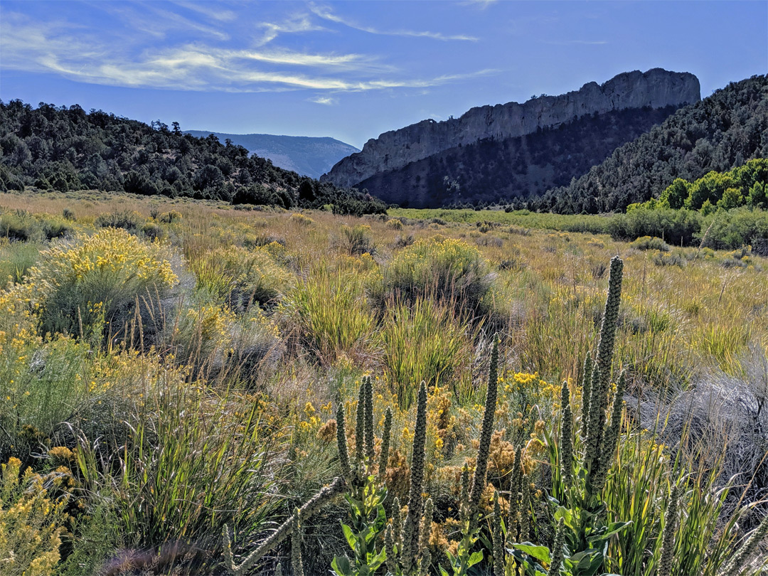 Valley floor