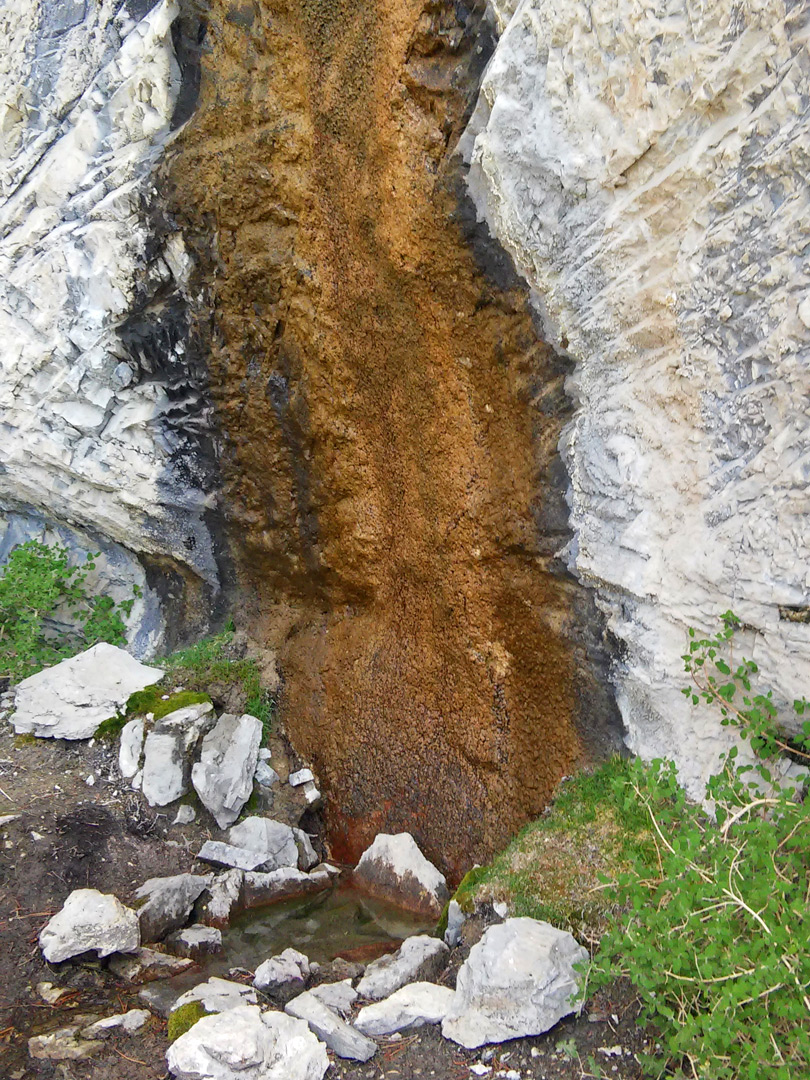 Cave Spring