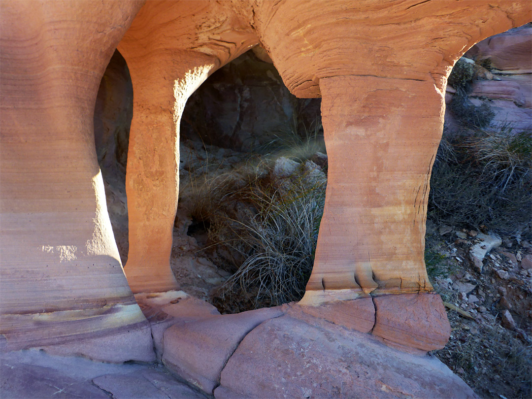 Double arch
