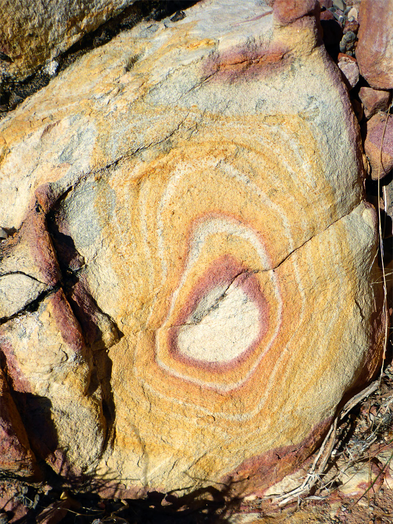 Concentric patterns