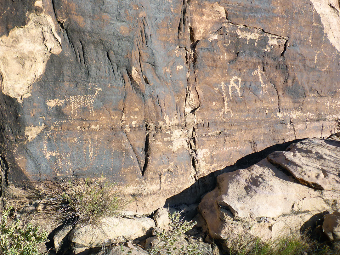 Varied petroglyphs