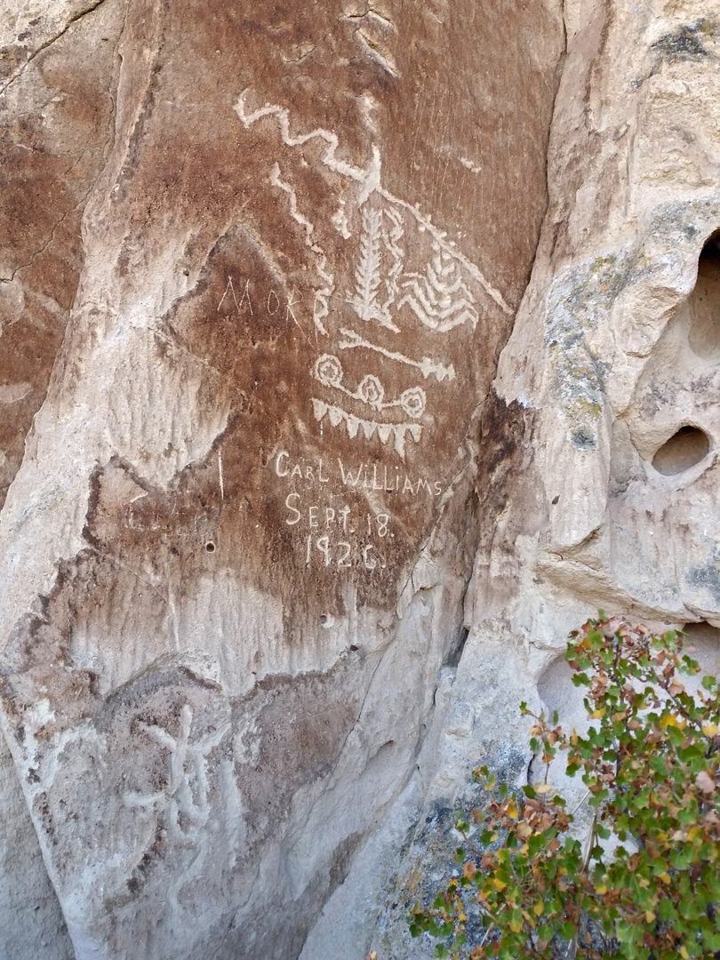 Corn and agave petroglyphs