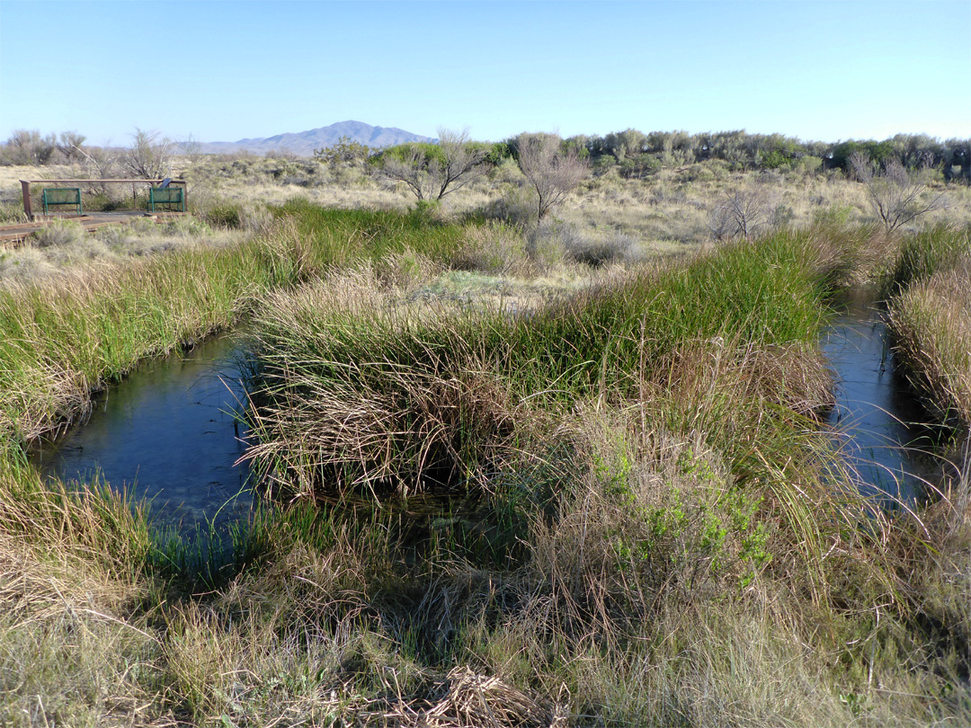 Stream from Crystal Spring