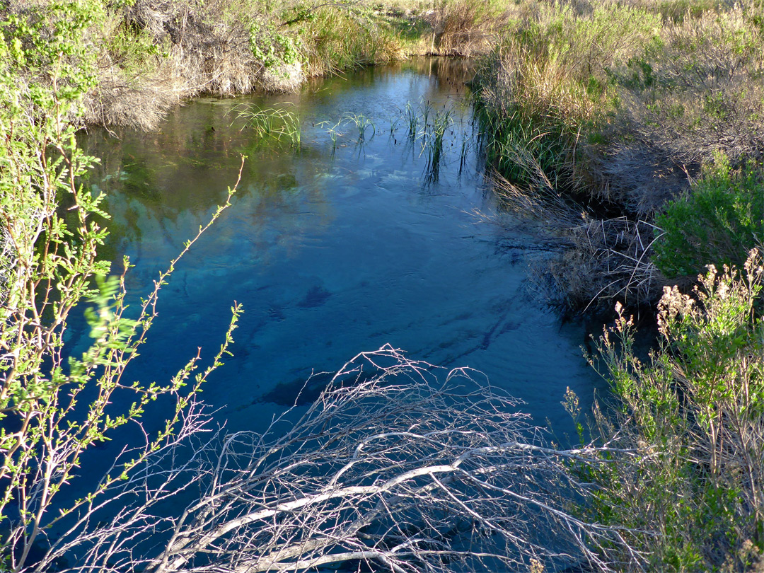 Blue water in Crystal Spring