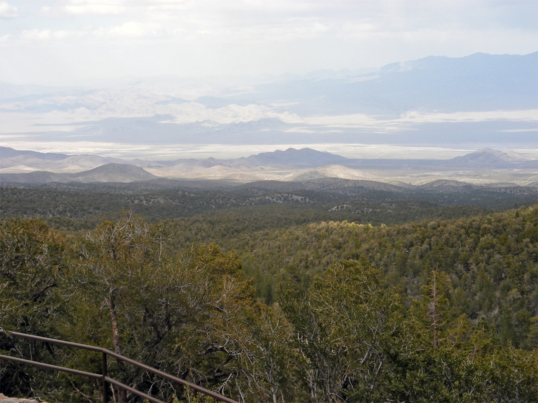 Desert Viewpoint