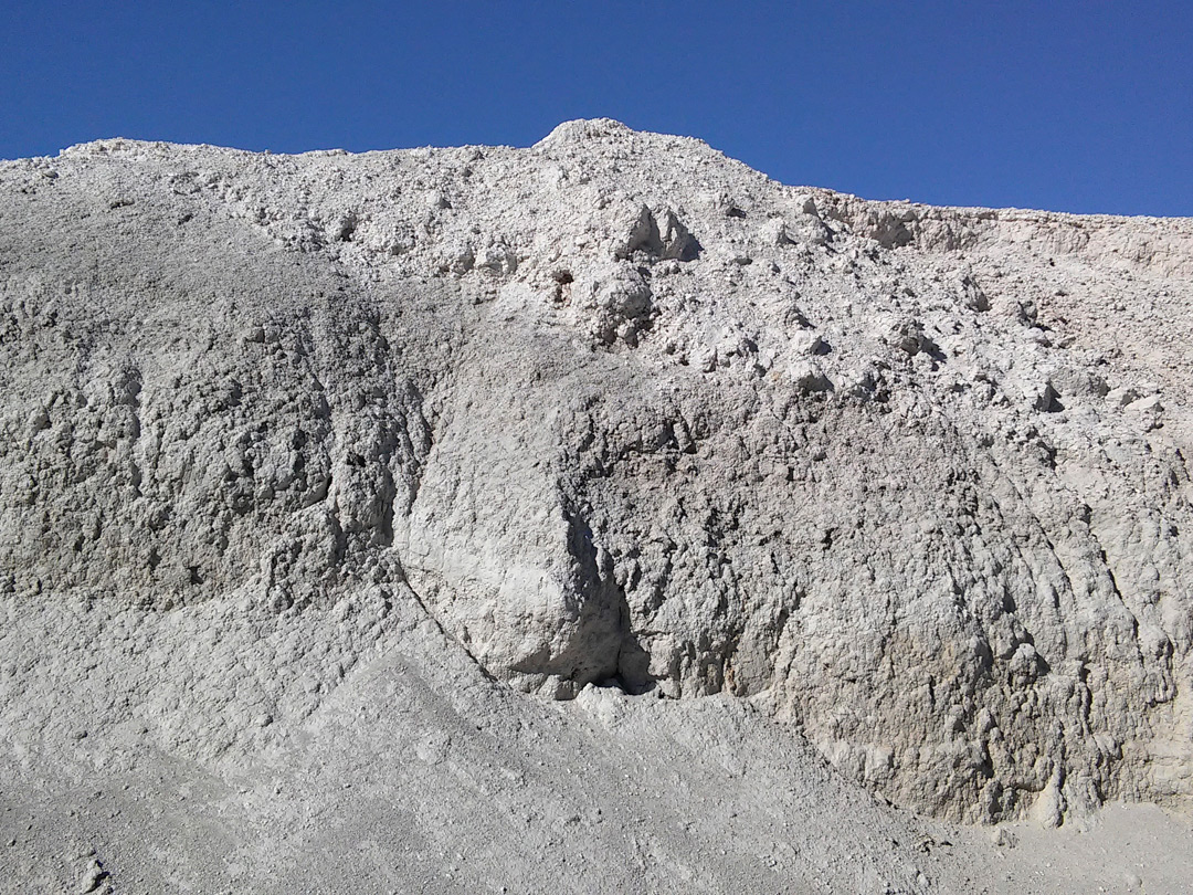Dire wolf excavation site