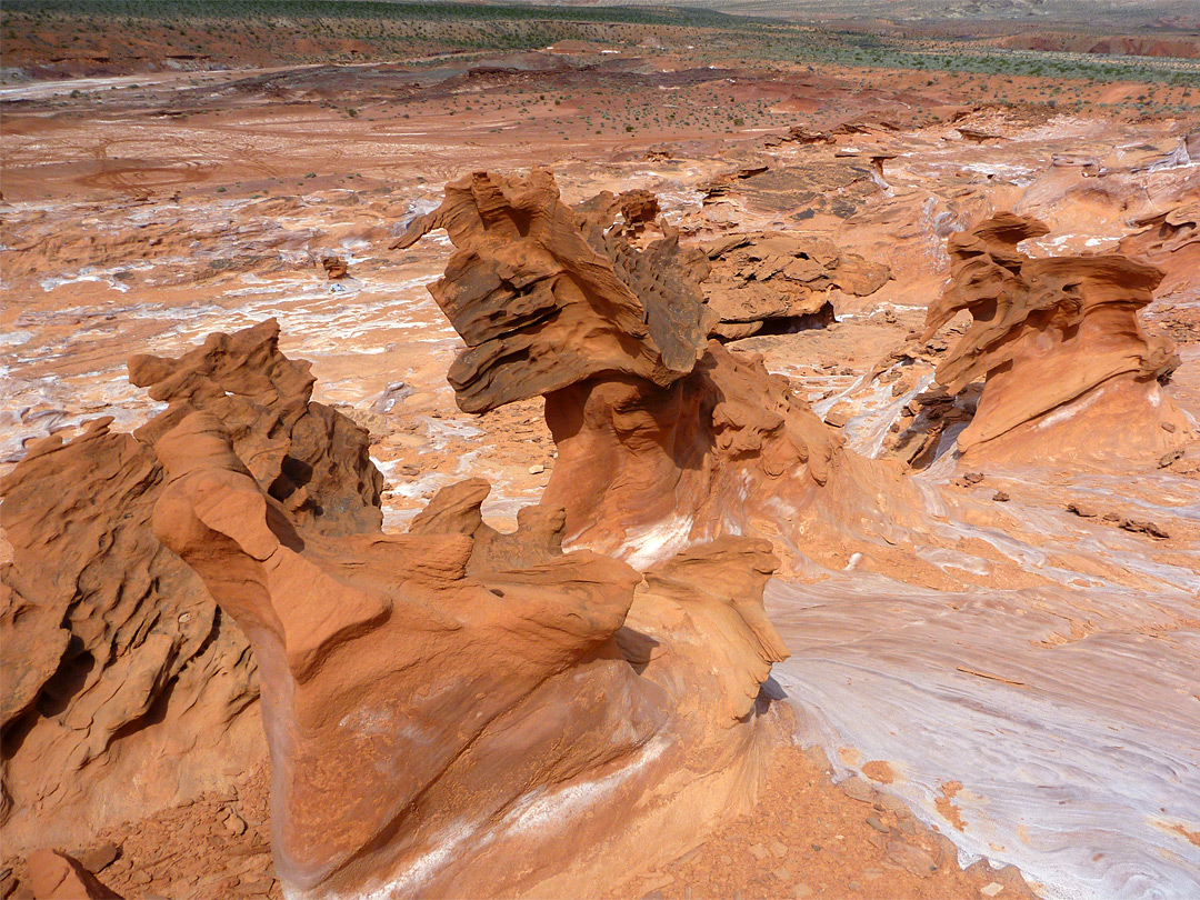 Row of hoodoos