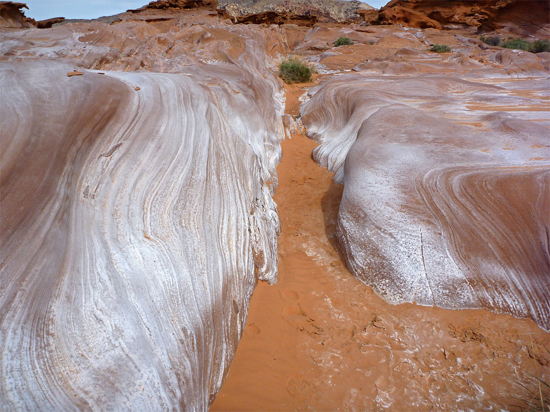 Salt-stained rocks