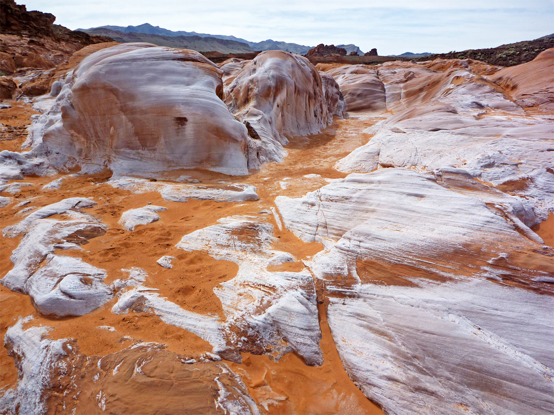 Whitish mounds