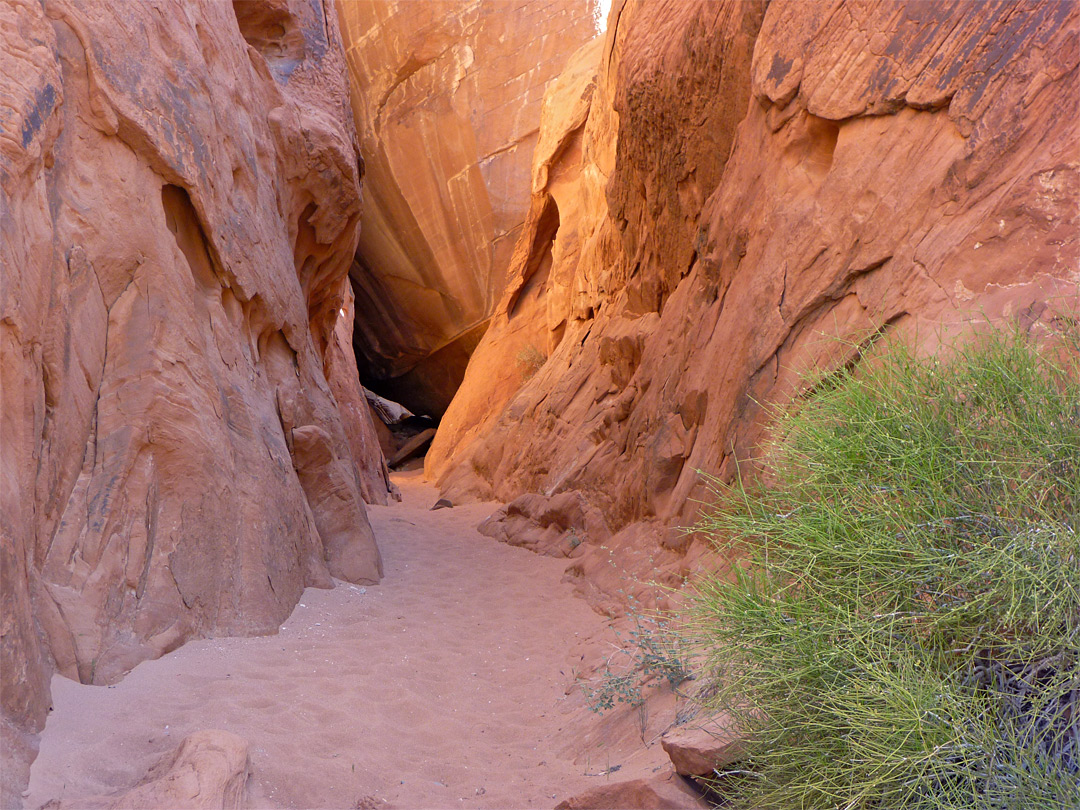 valley of fire state park