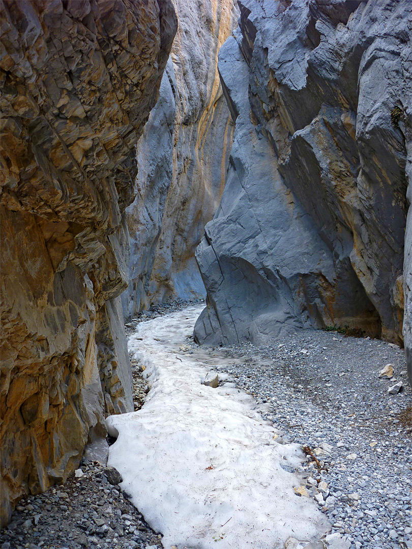 Fletcher Canyon Trail, Mount Charleston, Nevada