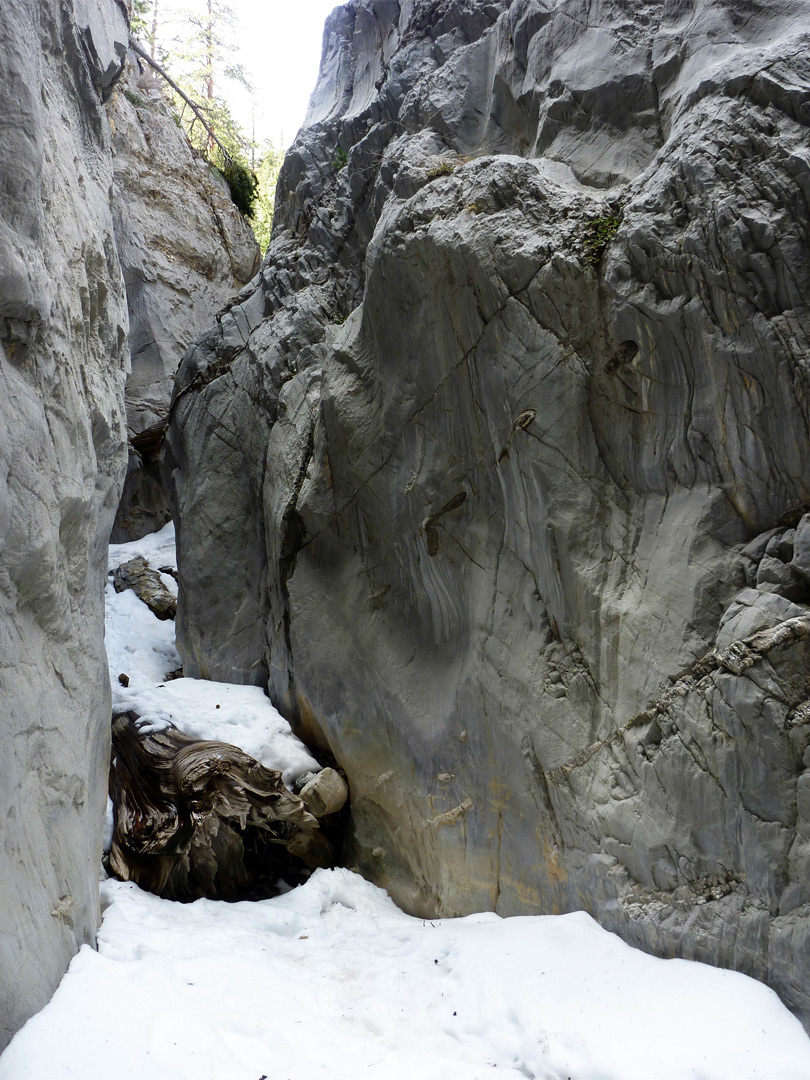 Upper fork narrows